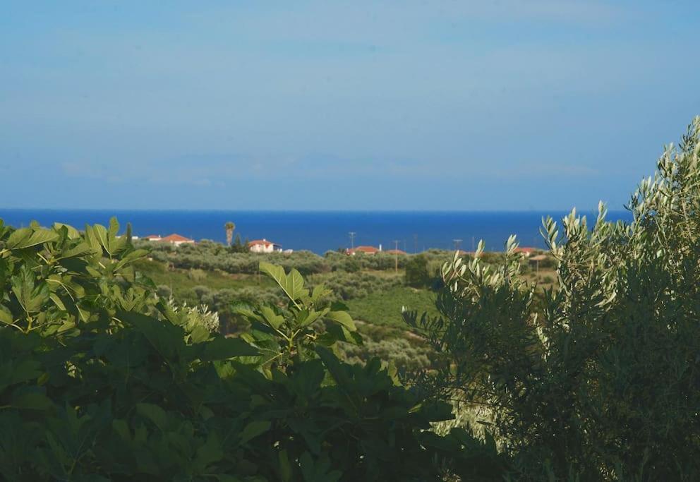 Hidden Paradise